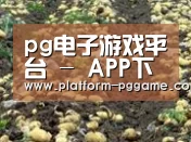 种植基地八(图1)