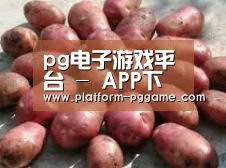 产品展示标题5