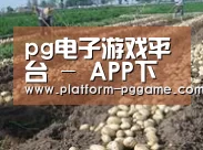 种植基地七(图1)