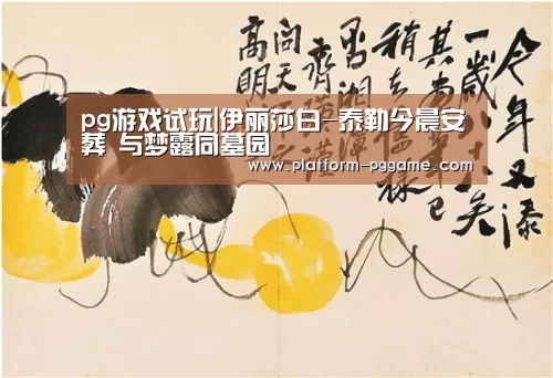 pg免费试玩