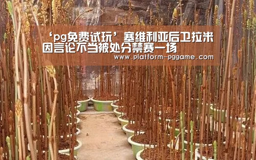‘pg免费试玩’塞维利亚后卫拉米因言论不当被处分禁赛一场(图4) pg免费试玩